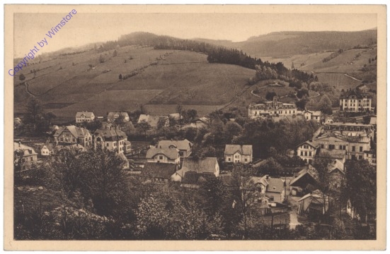 ak150735 Lipova-Lazne (Niederlindewiese), Ortsansicht