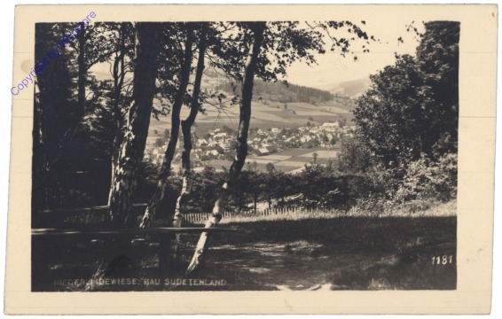 ak150737 Lipova-Lazne (Niederlindewiese), Ortsansicht