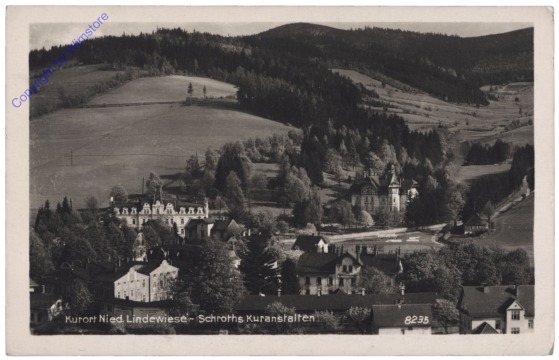 ak150738 Lipova-Lazne (Niederlindewiese), Ortsansicht