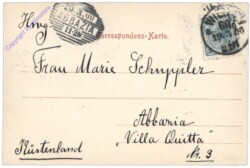 Pilnikov, Multiansicht