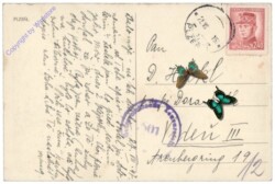 Plzen (Pilsen), Ansicht