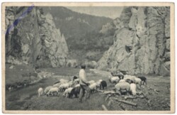 ak151140 Praha (Prag), Ansicht