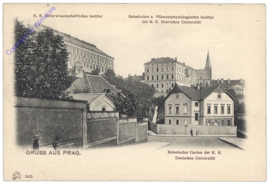 Praha (Prag), K.k. Naturwissenschaftliches Institut, Botanisches u. pflanzenphysiologisches Insitut, Botanischer Garten der k.k. Deutschen Universität