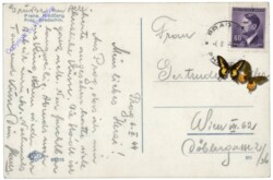 Praha (Prag), Hradcany