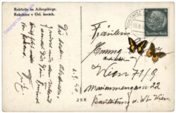 Rokytnice nad Jizerou (Rochlitz a.d. Iser), Ortsansicht