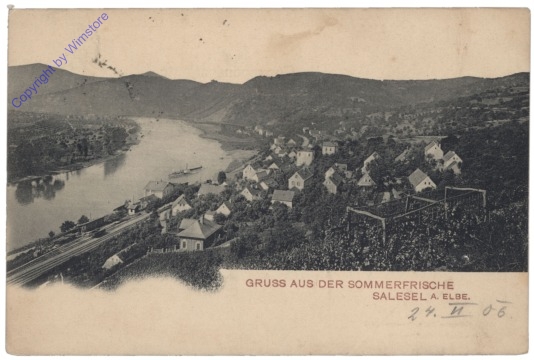 ak151390 Skapce (Kapsch), Gruss aus Salesel