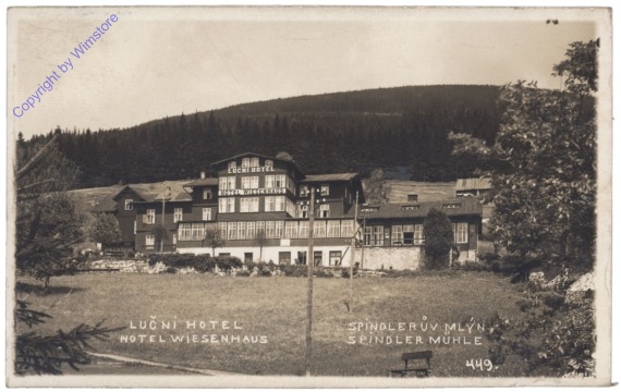 ak151417 Spindleruv Mlyn (Spindelmühle), Hotel Wiesenhaus