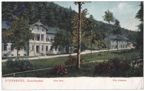 ak151430 Sternberk (Sternberg), Villa Rosa, Villa Hubertus