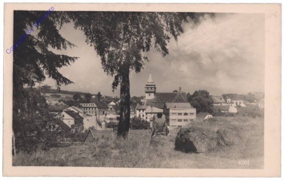 ak151459 Svetla (Swietla a.d. Sasau), Ortsansicht