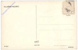 Valtice (Feldsberg), Ansicht