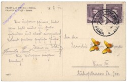 Vranov nad Dyji (Frain), Schloss