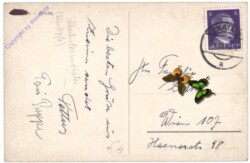 Znojmo (Znaim), Ansicht