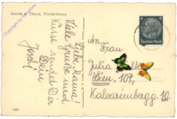 ak151892a Znojmo (Znaim), Ansicht