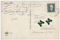 ak151894a Znojmo (Znaim), Ansicht