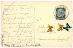 ak151895a Znojmo (Znaim), Ansicht