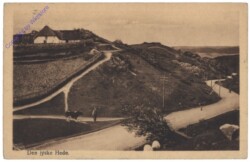 ak151909 Allgemein, Den jyske Hede