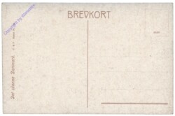 Allgemein, Klitparti Dueodde fyr.