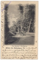 Kopenhagen, Paa Koretur i Dyrehaven