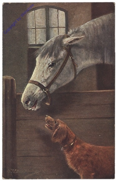 Pferd und Hund