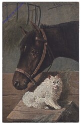 Pferd und Hund