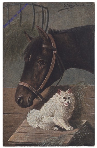 Pferd und Hund