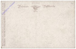 Pferdekopf