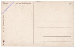 Frank, J.: Auf der Hochzeitsreise