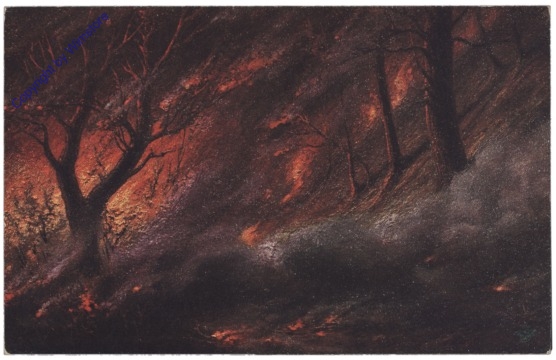 Waldbrand