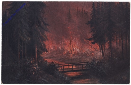 Waldbrand