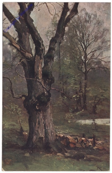 Der deutsche Wald