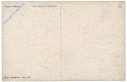 ak152361a Im Lande der Zypressen