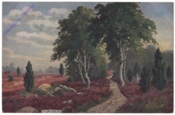 ak152365 Die deutsche Heide