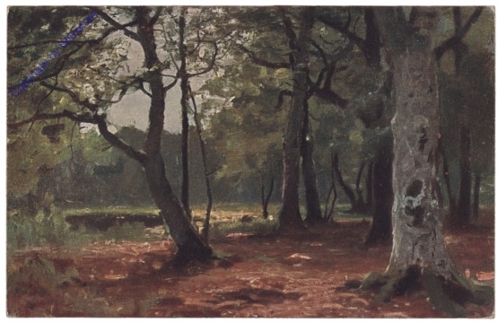 Der deutsche Wald