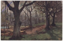ak152372 Der deutsche Wald