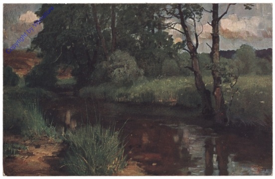 Der deutsche Wald