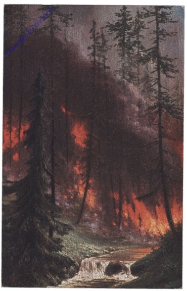 Waldbrand