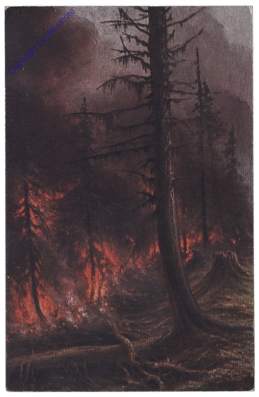 Waldbrand