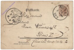 Die Fledermaus