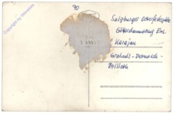 Szene
