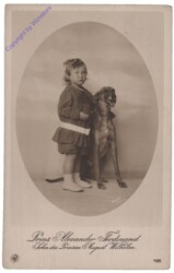 ak153023 Prinz Alexander Ferdinand
