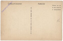 Marrakesch, Scenes & Types - Un Marche aux Legumes (Nussmarkt)