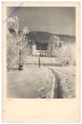 ak153194 Schneeweg