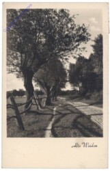 Alte Weiden