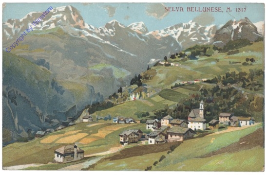 ak153273 Belluno, Selva Bellunese