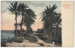 Bordighera, Palmiers