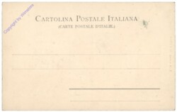 Bordighera, Palmiers