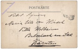 Fiera di Primiero, Villa Welsperg