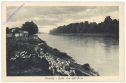ak153686 Firenze (Florenz), Sulle rive dell'Arno