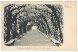 Firenze (Florenz), R. Giardino di Boboli - Interno del viale coperto