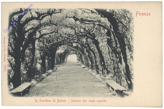 Firenze (Florenz), R. Giardino di Boboli - Interno del viale coperto